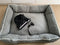 COMBO DEAL Animals Inc BED & HARNESS