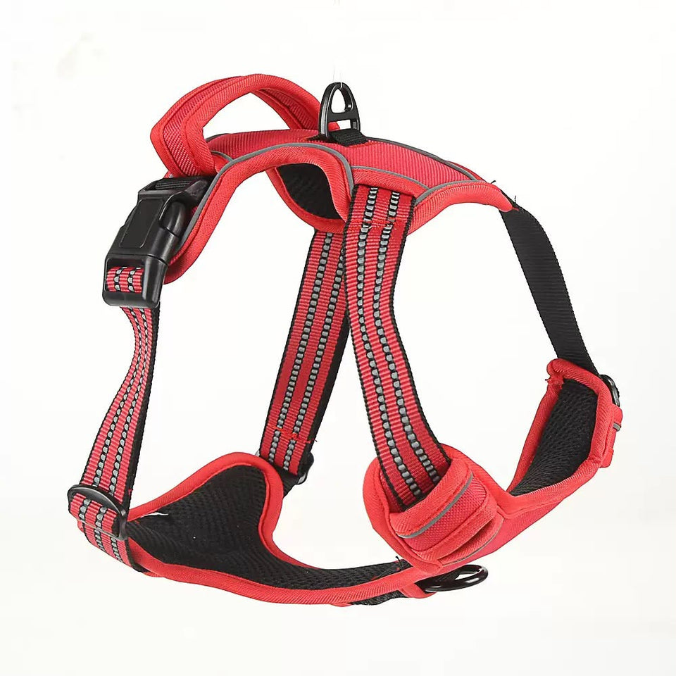 Collars , Harnesses and Leashes