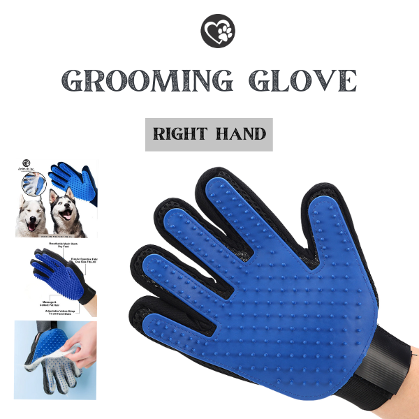 Grooming Glove