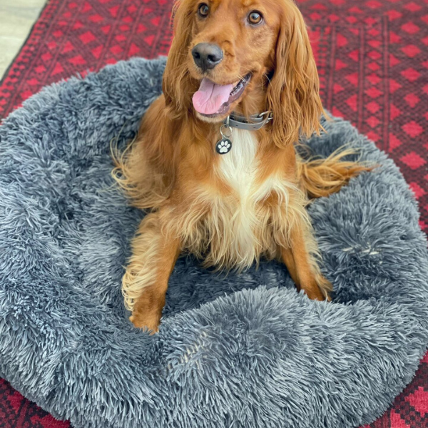 Dream Cloud Calming Bed  Dark| Grey (80cm - Medium dog breeds)