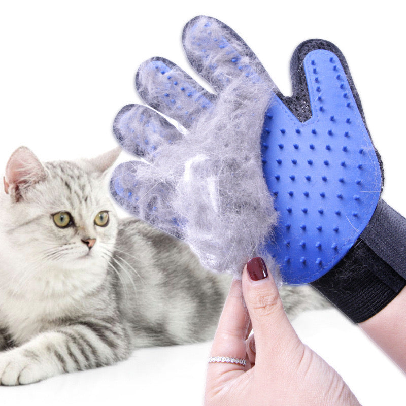 Grooming Glove