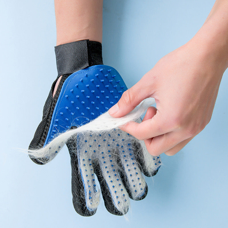 Grooming Glove