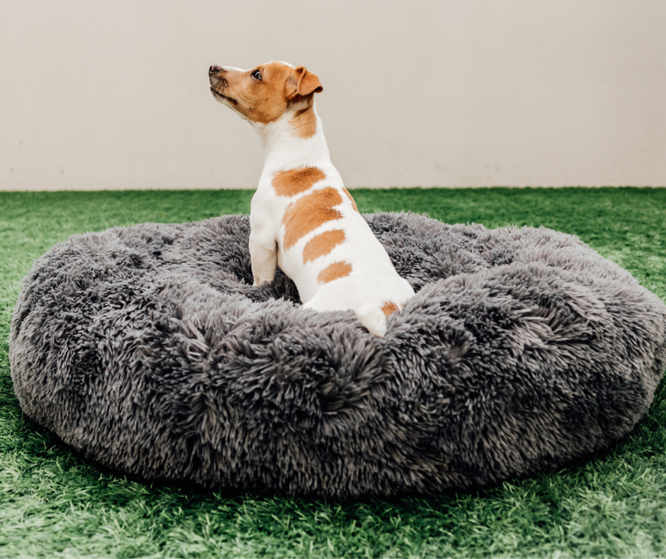 Dream Cloud Calming Bed  Dark| Grey (80cm - Medium dog breeds)