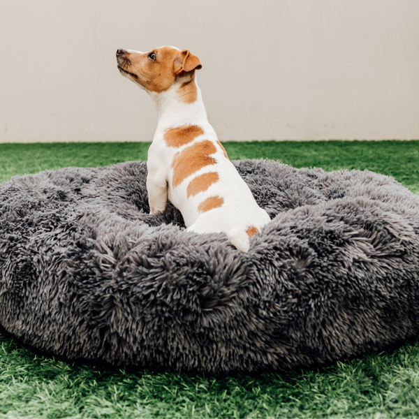 Dream Cloud Calming Bed  Dark| Grey (80cm - Medium dog breeds)